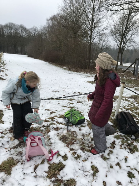 2017_01_22 Gru__nkohlwanderung zur Martinskirche Beedenbostel und dann zum Heidehof Bilder von Ralf 023.jpg